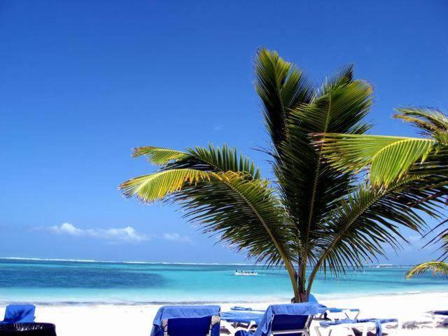 Larimar Beach Punta Cana Hotel Exterior photo